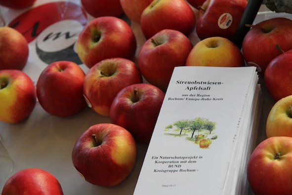 Nahaufnahme mehrerer Äpfel die auf einem weißen Untergrund auf dem Teile des UmQ Logos zu erkennen sind liegen. Inmitten der Äpfel liegt Informationsmaterial zu den Streuobstwiesen. 